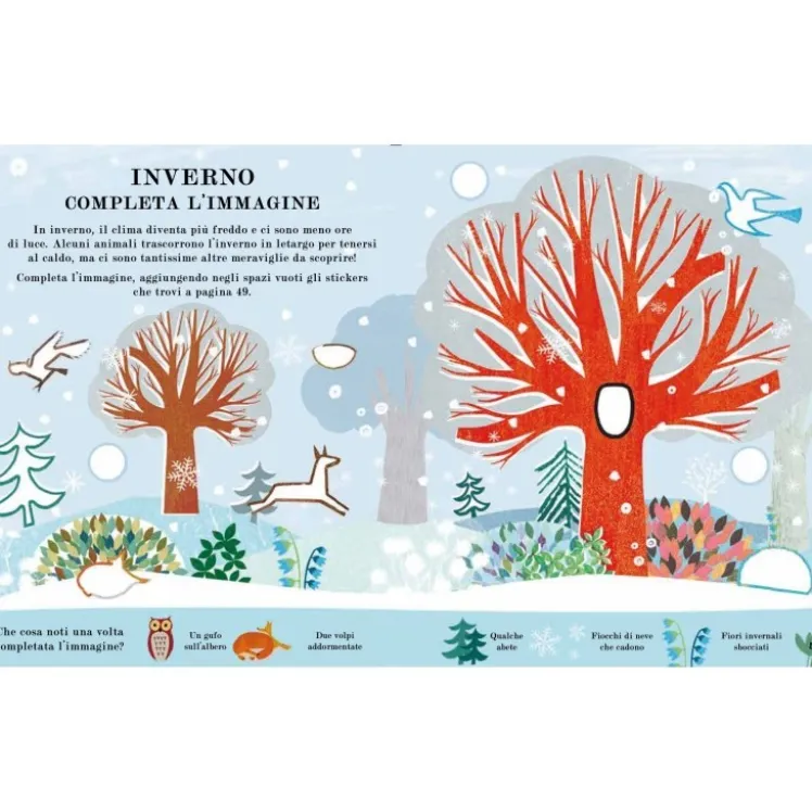 Albero. Il libro delle attività