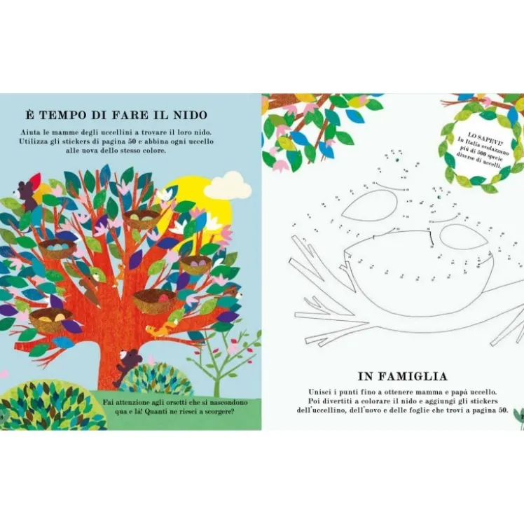 Albero. Il libro delle attività