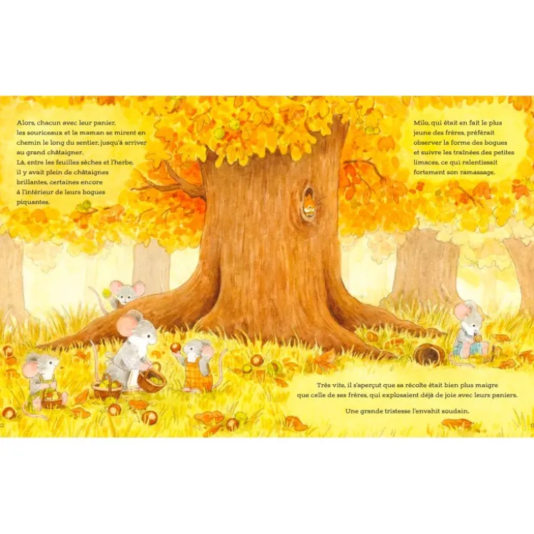 Automne câlin