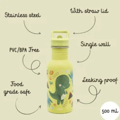 Borraccia in acciaio inox da 500 ml - Dinosauro Cracky