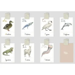Carte della nomenclatura - ALFABETO