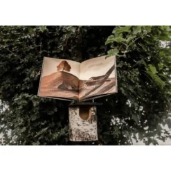 Cosa vedi quando guardi un albero?