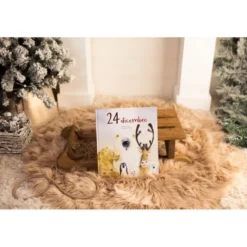 24 dicembre