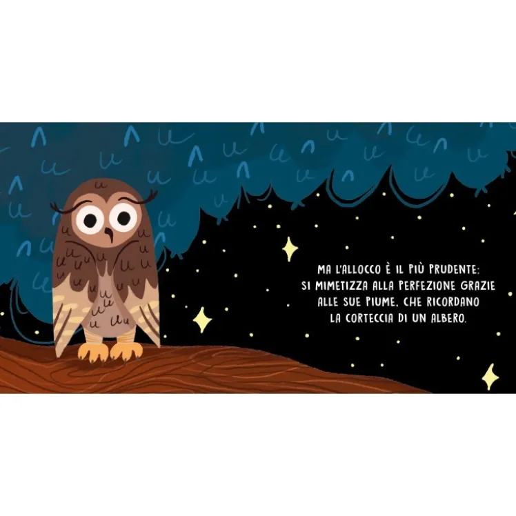 Dolci storie sonore. Gli animali della notte