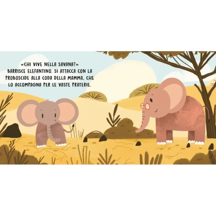 Dolci storie sonore. La savana