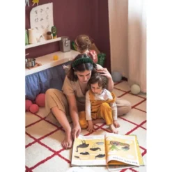 Enciclopedia degli uccelli per piccoli lettori
