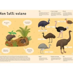 Enciclopedia degli uccelli per piccoli lettori