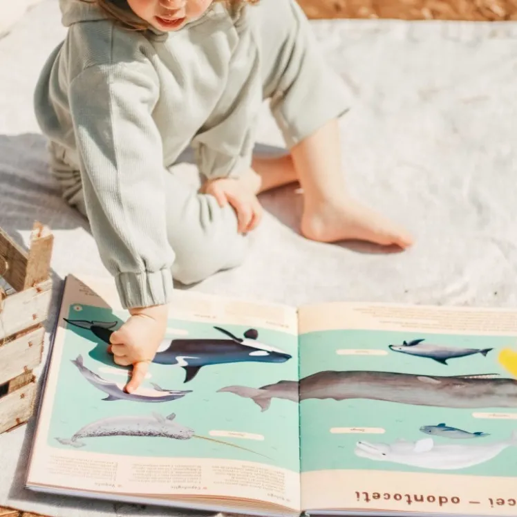 Enciclopedia del mare per piccoli lettori