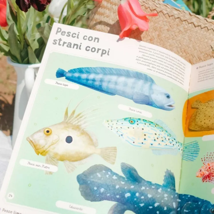 Enciclopedia del mare per piccoli lettori