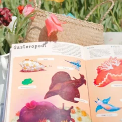 Enciclopedia del mare per piccoli lettori