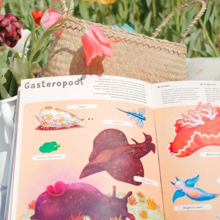 Enciclopedia del mare per piccoli lettori