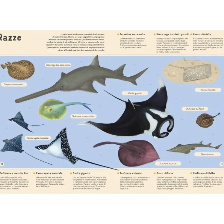 Enciclopedia del mare per piccoli lettori