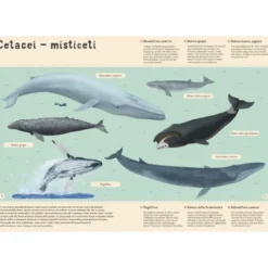 Enciclopedia del mare per piccoli lettori