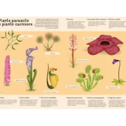 Enciclopedia di piante, funghi e licheni per piccoli lettori