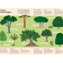 Enciclopedia di piante, funghi e licheni per piccoli lettori