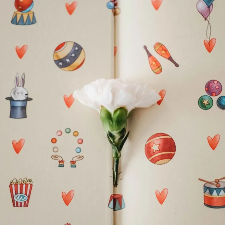 L'amore è un circo