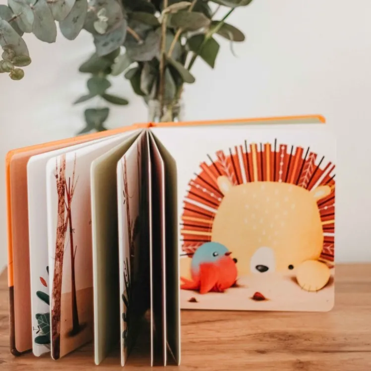 Libri cartonati. Chompy e il coraggio