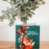 Libri cartonati. Crunchy e l'astuzia