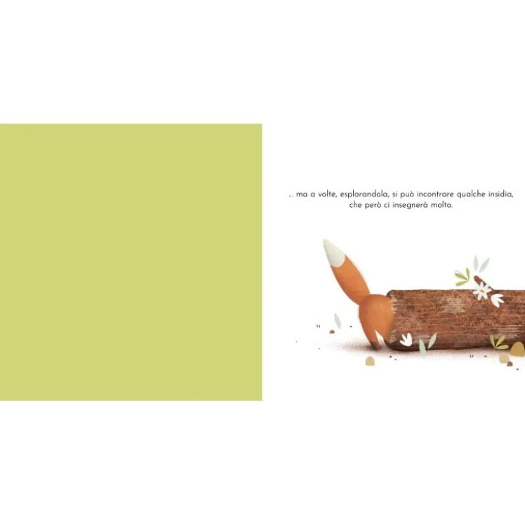 Libri cartonati. Crunchy e l'astuzia