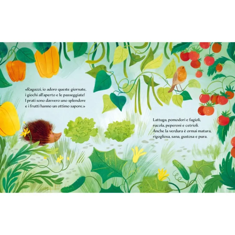 Libri illustrati pocket. Estate