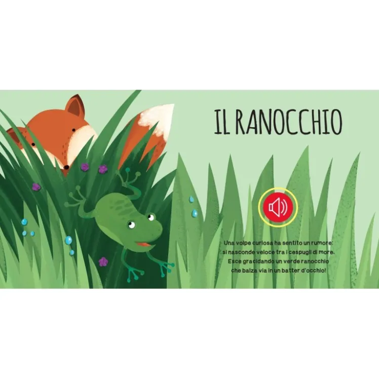 Libri sonori. Il bosco