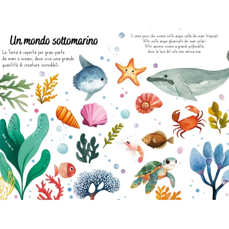 Magico puzzle ad acqua. Il mare