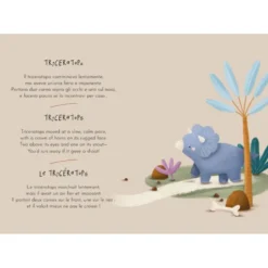 Magnetic box set. Dinosauri
