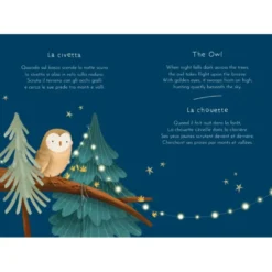Magnetic box set. Il bosco