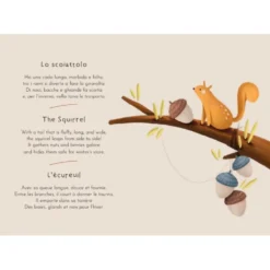 Magnetic box set. Il bosco