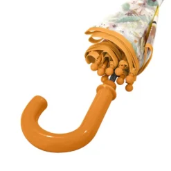 Ombrello trasparente per bambini - Leone Chompy