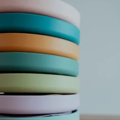 Piatto con ventosa in silicone - Leone Chompy