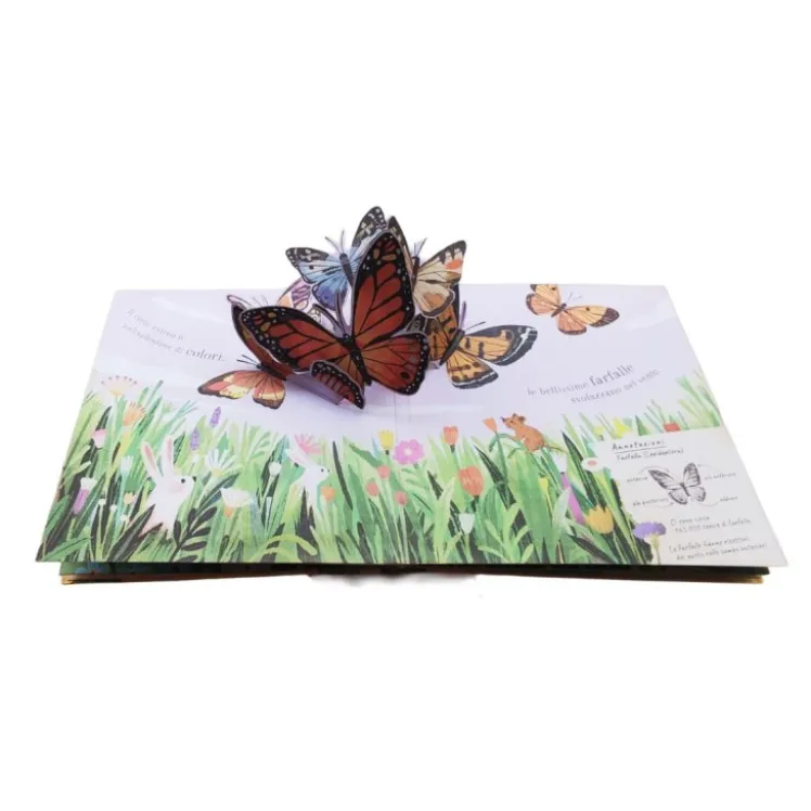 Pop-up della natura. Piccole creature