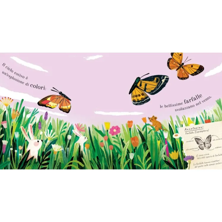 Pop-up della natura. Piccole creature
