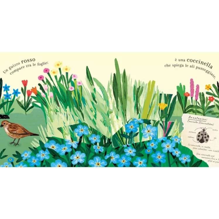 Pop-up della natura. Piccole creature