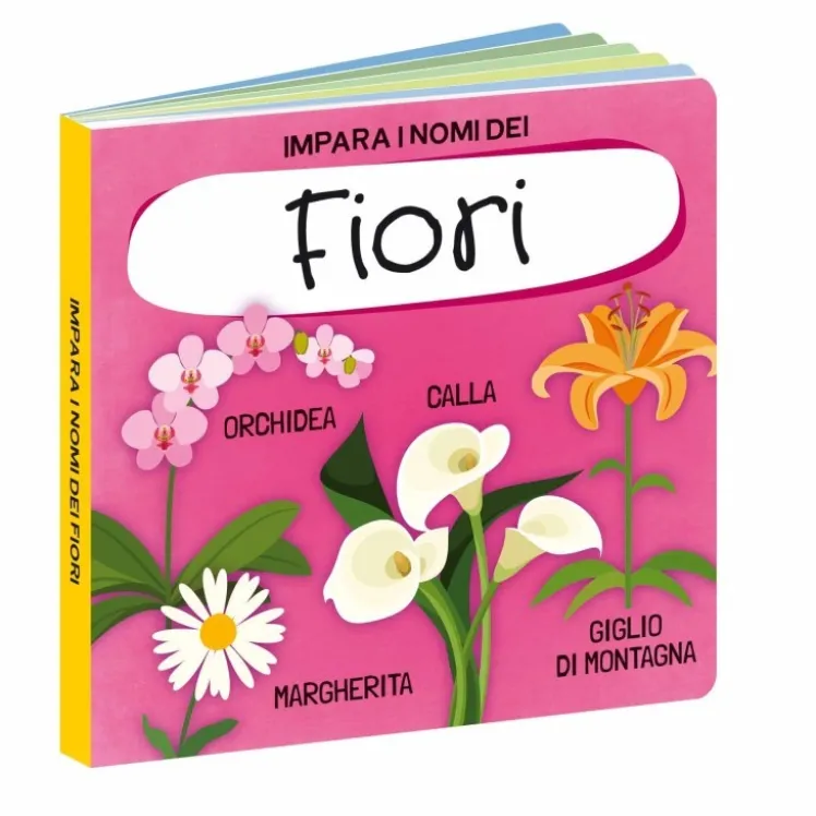 Q-Box. Il mondo dei fiori