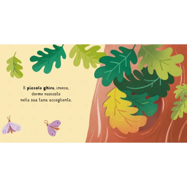 Scorri e scopri. Il bosco