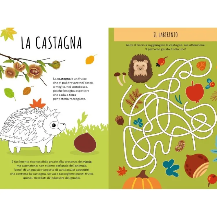 Stickers e attività. Autunno