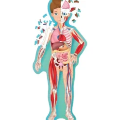 Viaggia, conosci, esplora. Il corpo umano