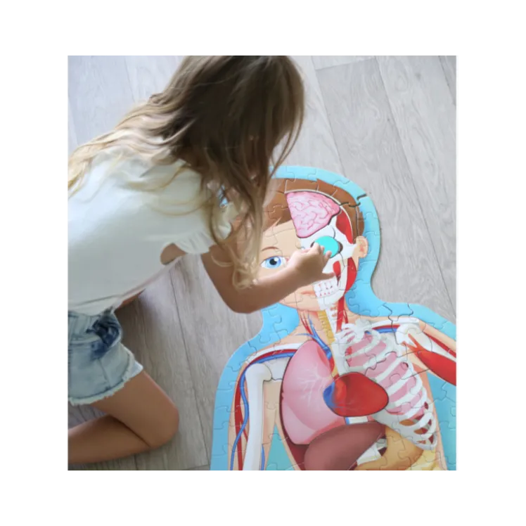 Viaggia, conosci, esplora. Il corpo umano