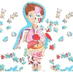 Viaggia, conosci, esplora. Il corpo umano